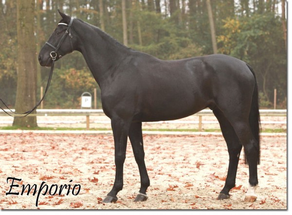 Emporio3