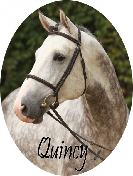 Quincy