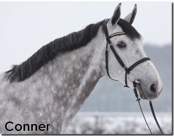 conner 1