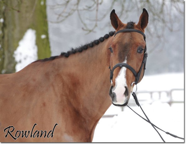 Rowland1