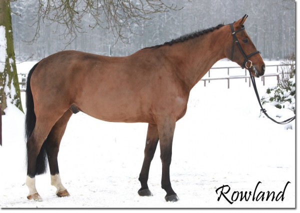 Rowland2