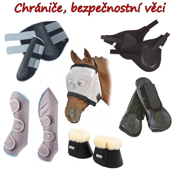 Sedlovna Cujo 4