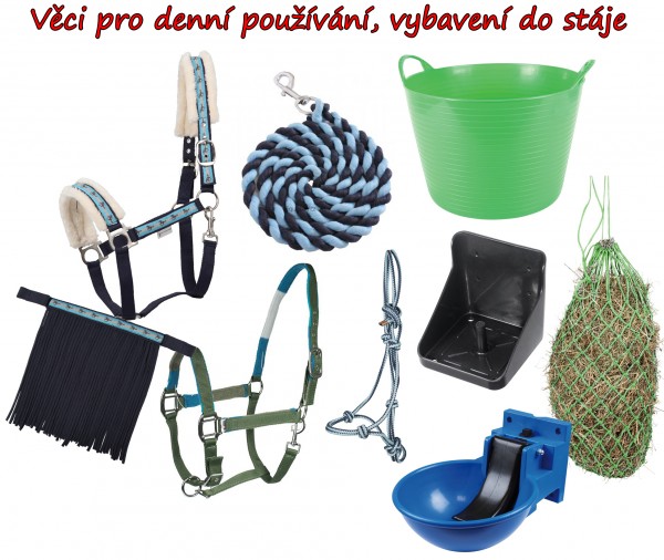 Sedlovna Cujo 10