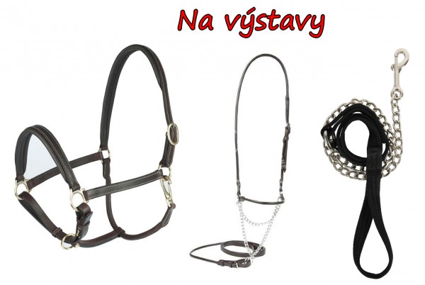 Sedlovna Cujo 11