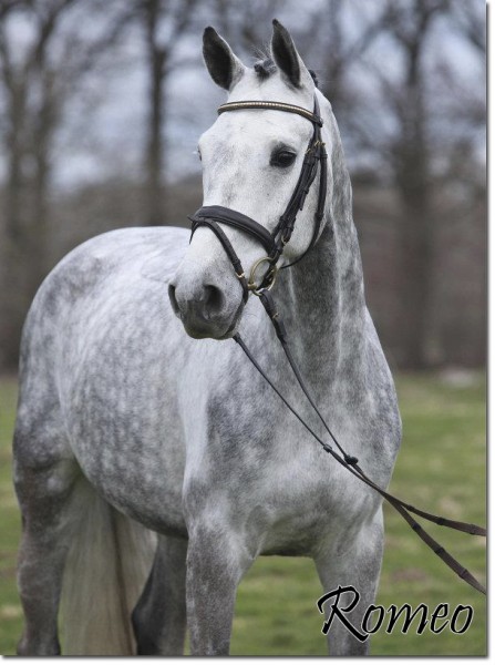 Romeo