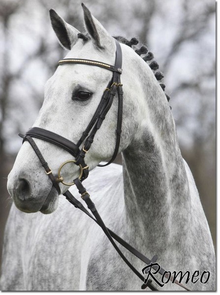 Romeo1