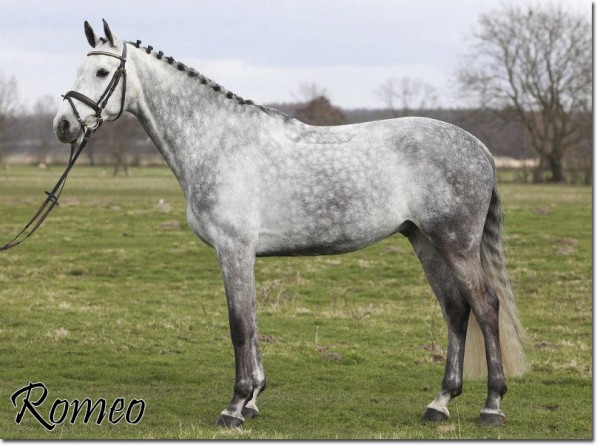 Romeo2