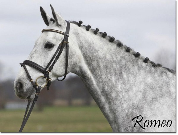 Romeo3