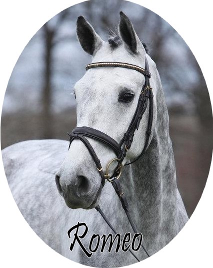 Romeo