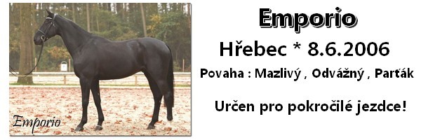 Nepojmenovan 5