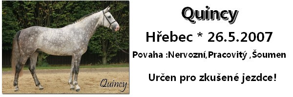 Nepojmenovan 6