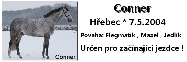 Nepojmenovan 9