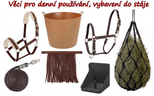 Sedlovna Quincy 8
