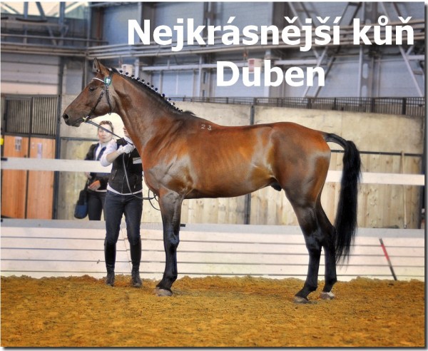 Nepojmenovan 5