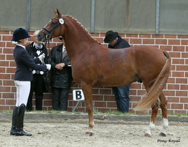 07A778E0BA2011DFA1FAAD16BA0521
